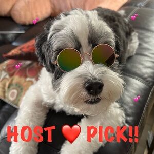 Fashion AVIATOR Pet Eye Glasses